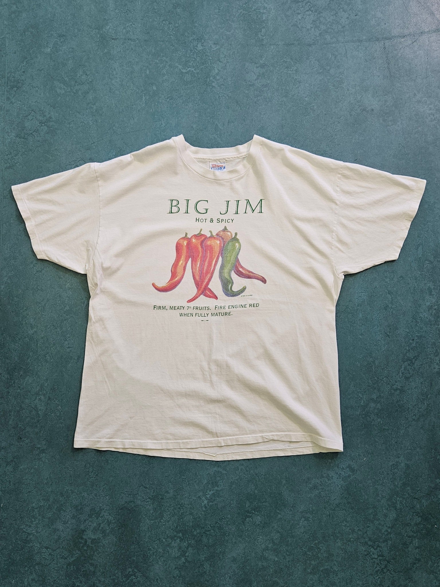 1990s VINTAGE ''BIG JIM'' T-SHIRT [XL]