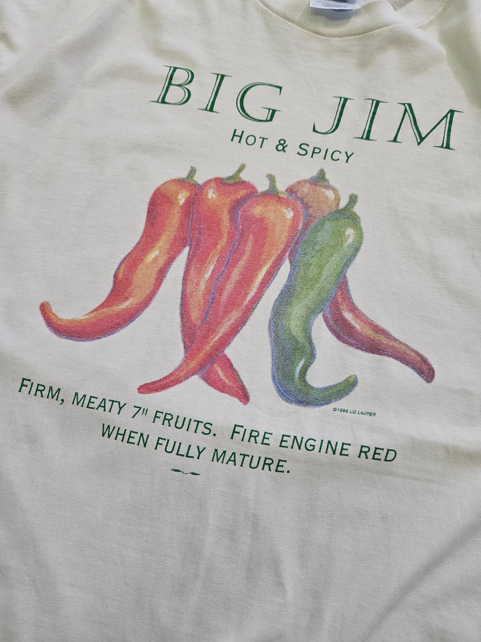 1990s VINTAGE ''BIG JIM'' T-SHIRT [XL]