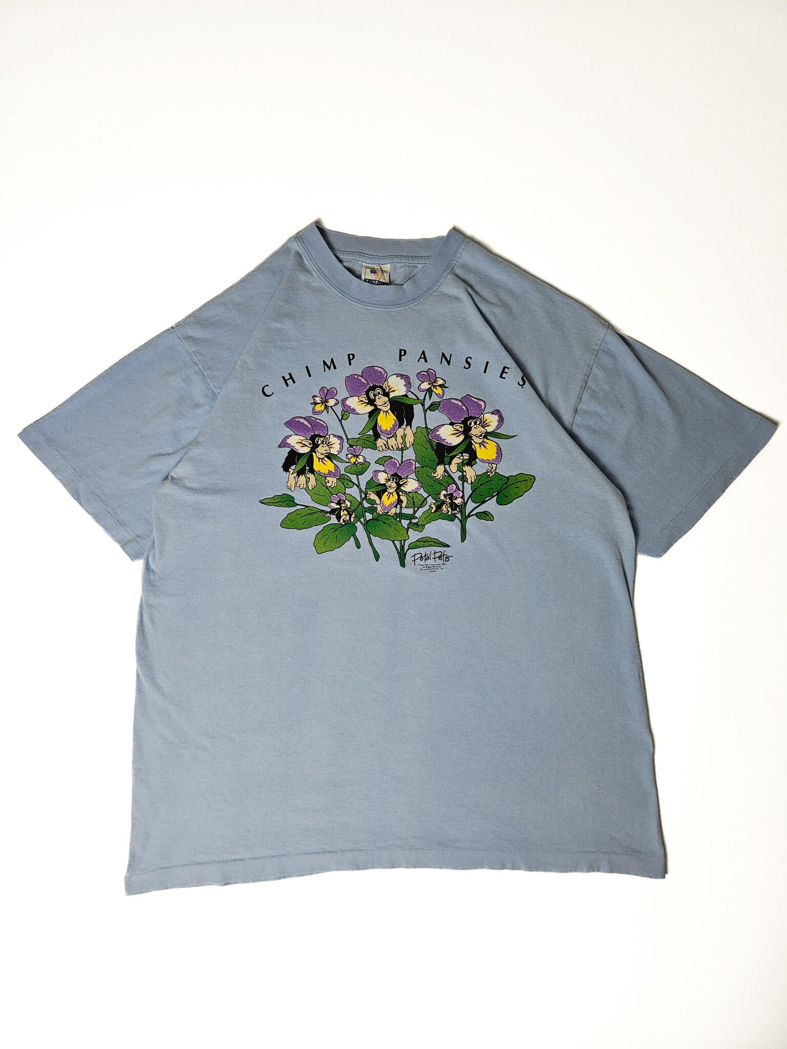 "Lichtblauw vintage T-shirt plat gelegd, met een unieke grafische print van chimpansees die uit paarse en gele bloemen (viooltjes) komen, met de tekst 'CHIMP PANSIES' erboven. Dit speelse en authentieke ontwerp maakt het een perfect voorbeeld van een duurzaam 'slow fashion' statement T-shirt."

