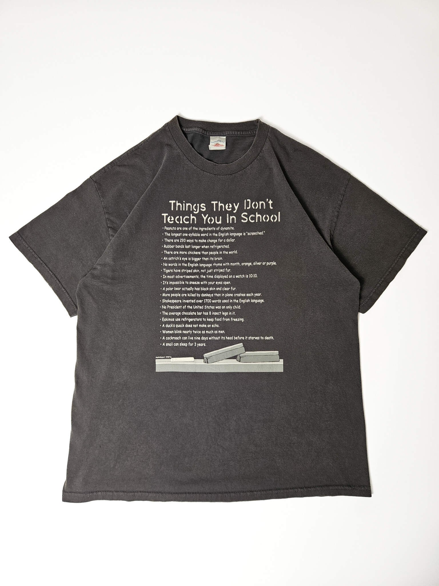 "Donkergrijs vintage T-shirt plat gelegd, met een humoristische witte print 'Things They Don't Teach You In School' bovenaan, gevolgd door een opsomming van verrassende feiten en onderaan een grafische weergave van gestapelde staven. Dit unieke en intrigerende item is een voorbeeld van duurzame, pre-loved slow fashion."

