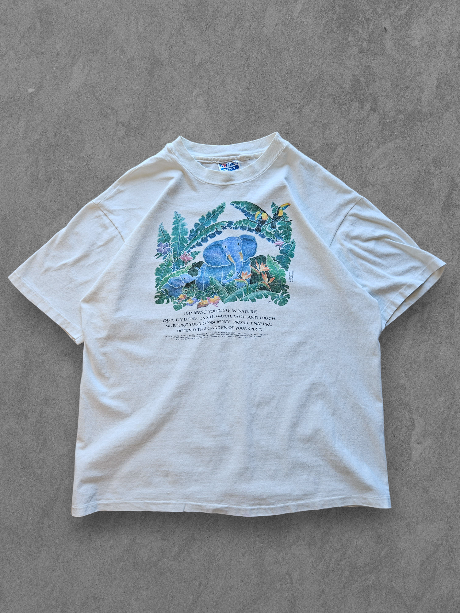 80s Hanes ''IMMERSE YOURSELF IN NATURE'' T-SHIRT [XL]