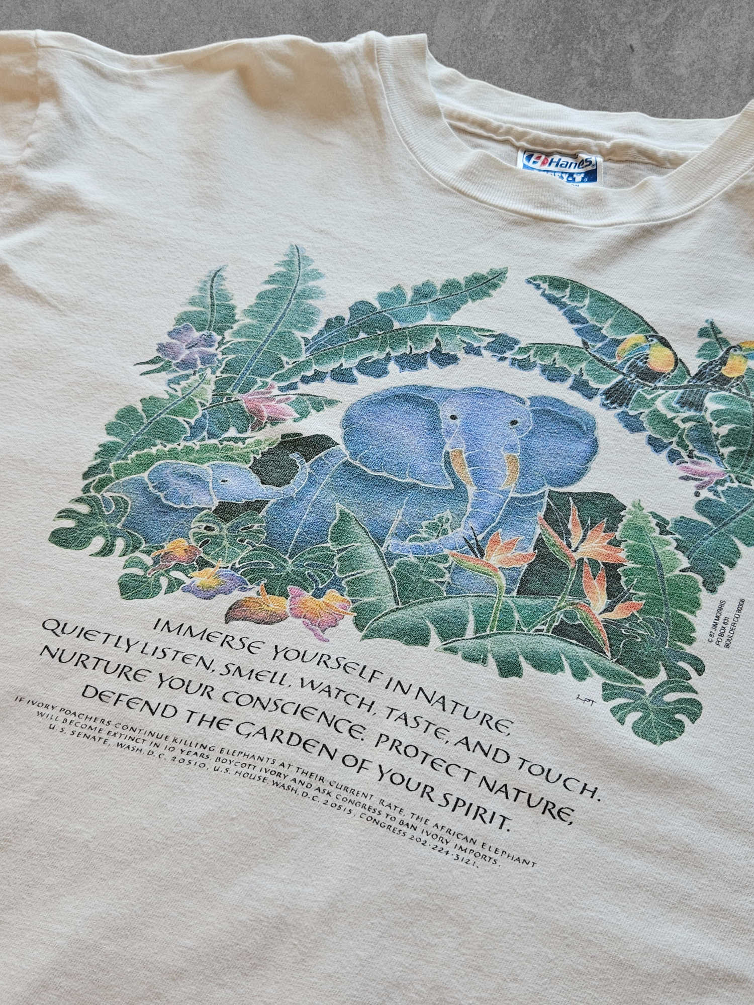 80s Hanes ''IMMERSE YOURSELF IN NATURE'' T-SHIRT [XL]
