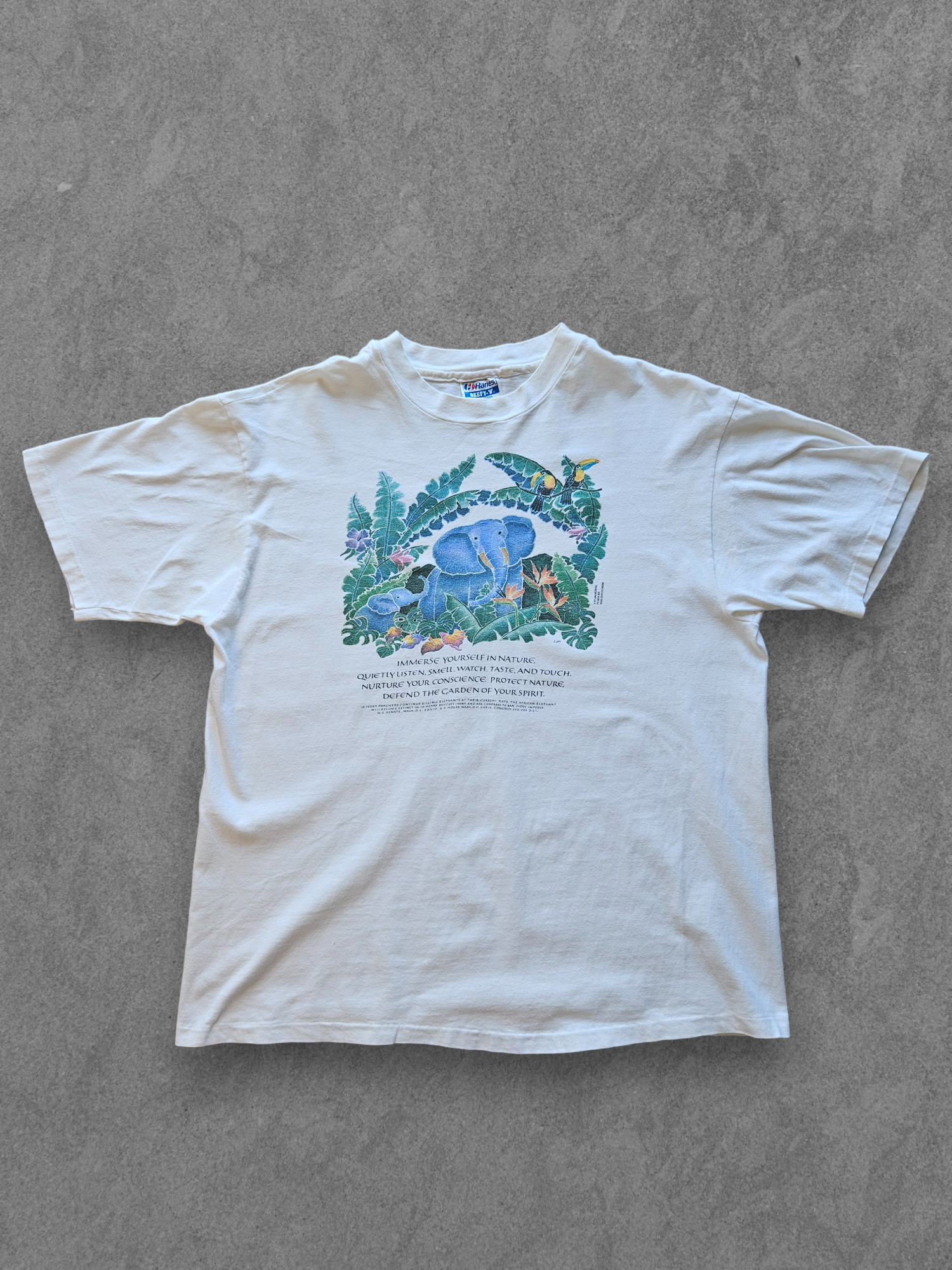 80s Hanes ''IMMERSE YOURSELF IN NATURE'' T-SHIRT [XL]