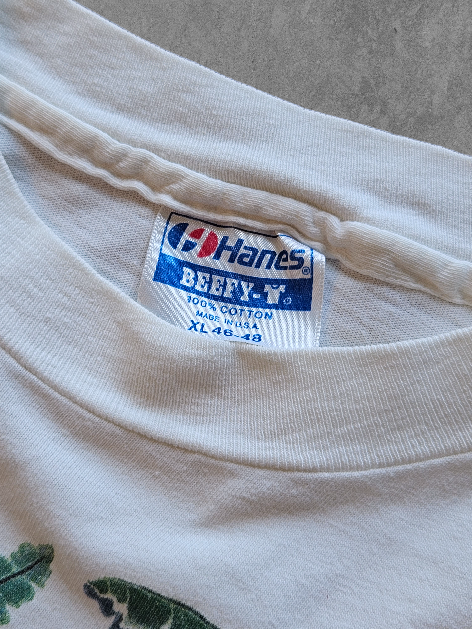 80s Hanes ''IMMERSE YOURSELF IN NATURE'' T-SHIRT [XL]