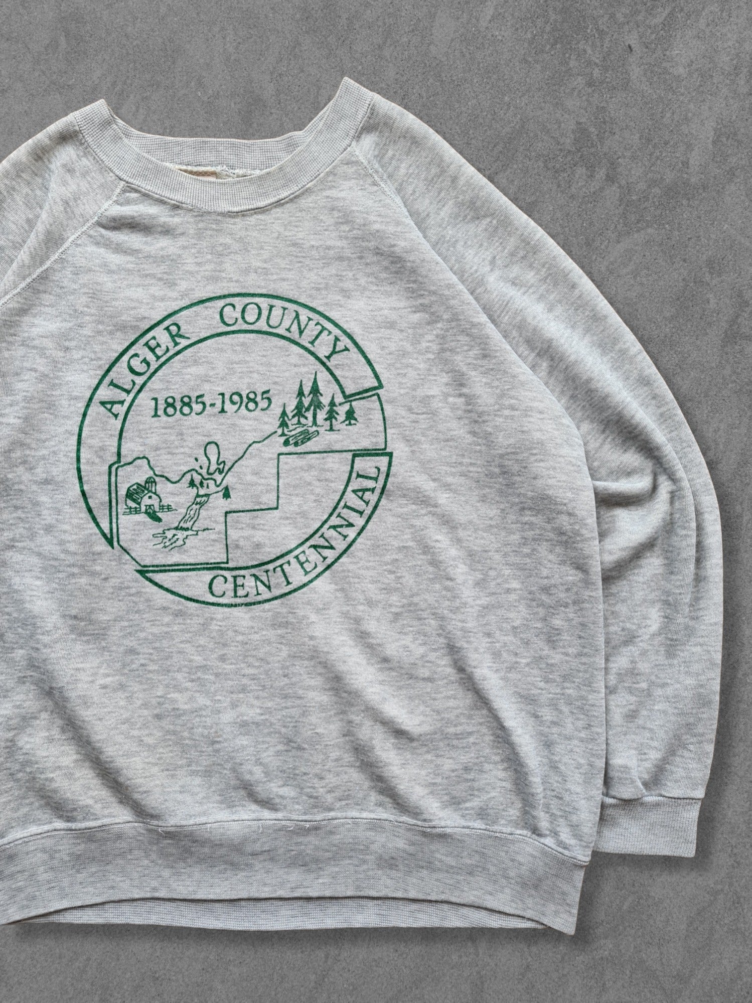 De vintage winkel met tweedehands kleding uit de thrift | 80s BASSETT WALKER ''ALGER COUNTY'' SWEATSHIRT [L] SWEATSHIRT