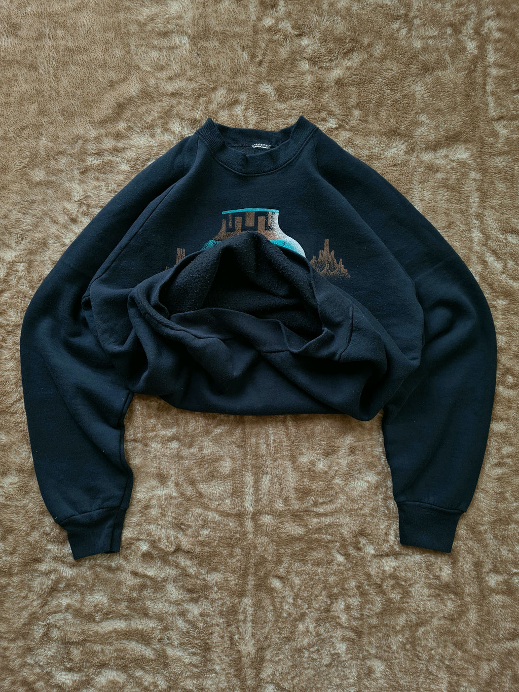 De vintage winkel met tweedehands kleding uit de thrift | 80s FRUIT OF THE LOOM ''ARIZONA'' SWEATSHIRT [L] SWEATSHIRT