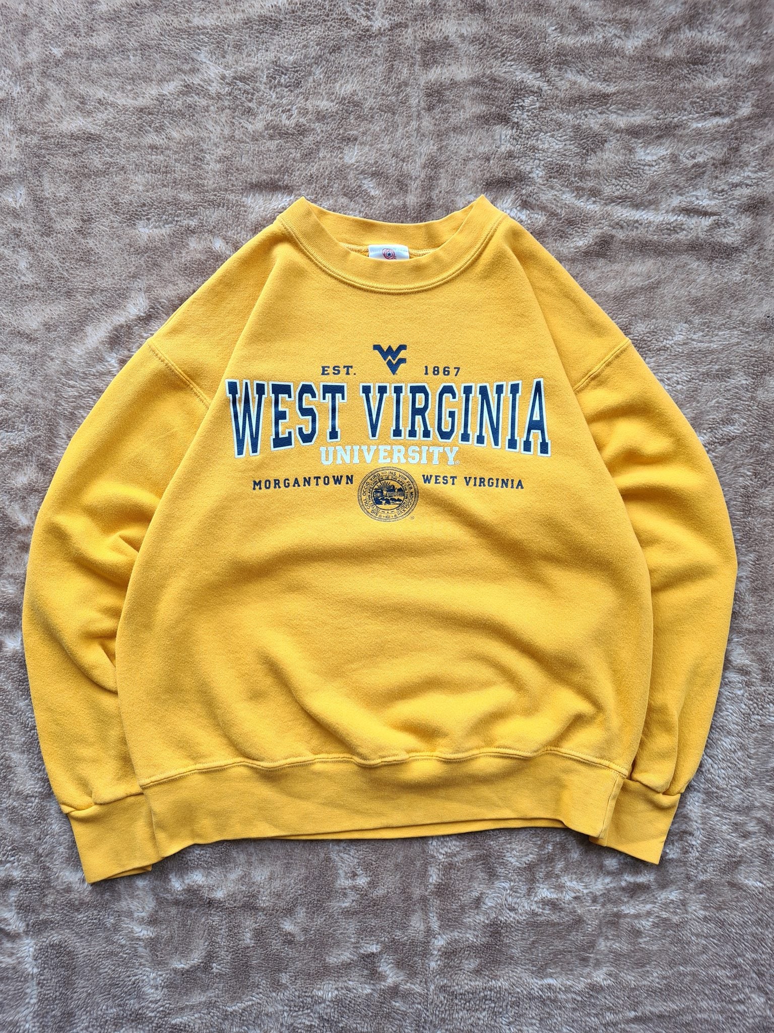 De vintage winkel met tweedehands kleding uit de thrift | 90s AMERICAN THREADS ''WEST VIRGINIA'' SWEATSHIRT [M] SWEATSHIRT