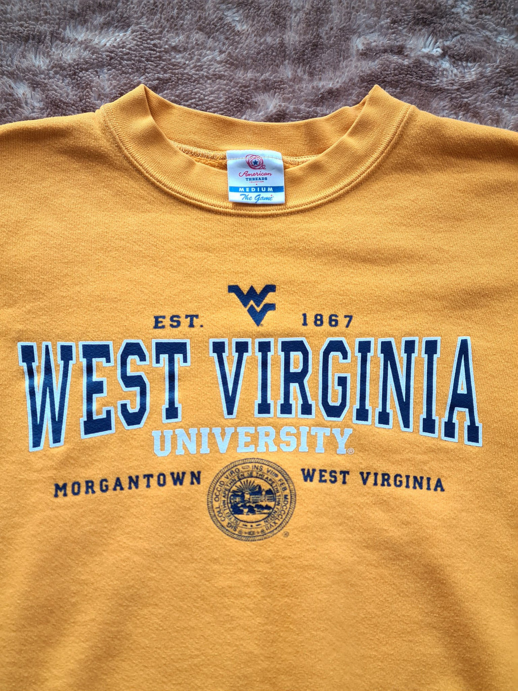 De vintage winkel met tweedehands kleding uit de thrift | 90s AMERICAN THREADS ''WEST VIRGINIA'' SWEATSHIRT [M] SWEATSHIRT