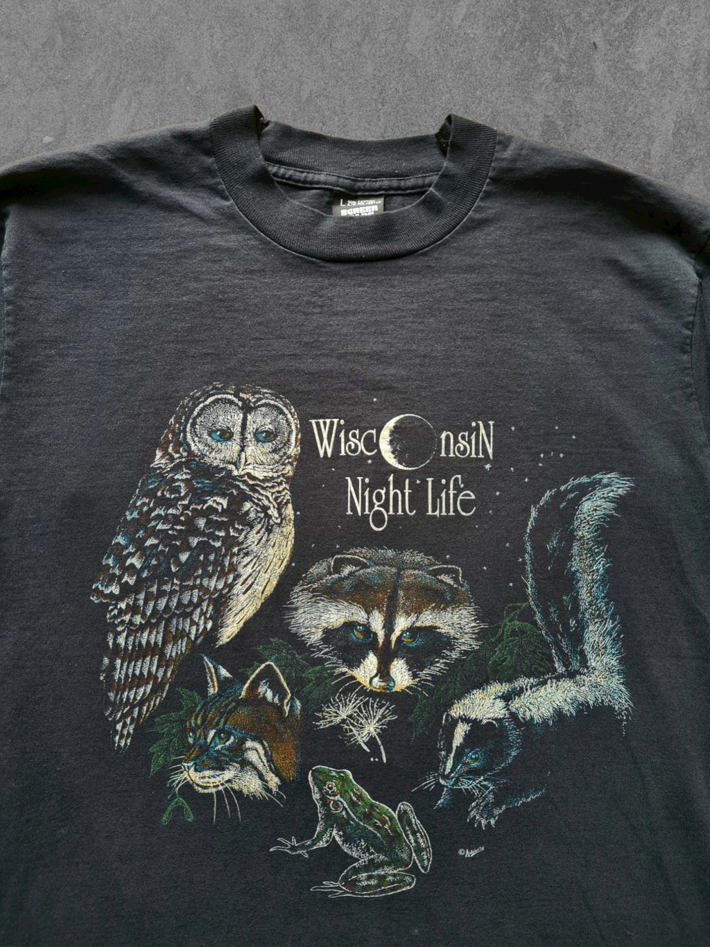 De vintage winkel met tweedehands kleding uit de thrift | 90s SCREEN STARS ''WISCONSIN NIGHTS'' T-SHIRT [L] T-SHIRT
